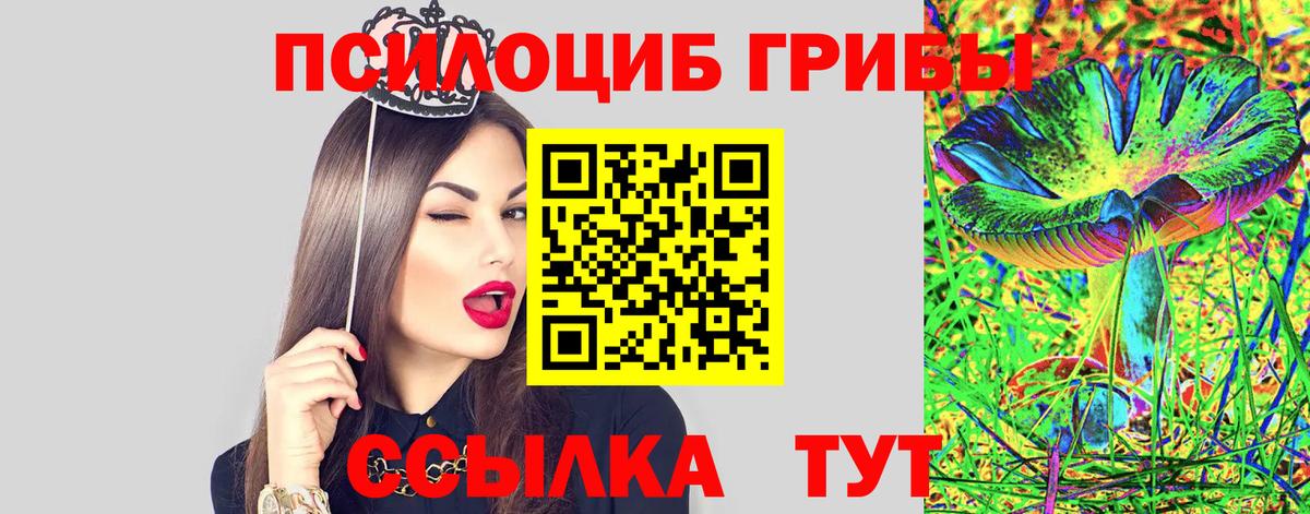 Галлюциногенные грибы MAGIC MUSHROOMS  Галлюциногенные грибы мухоморы  Вход с VPN  Владикавказ 